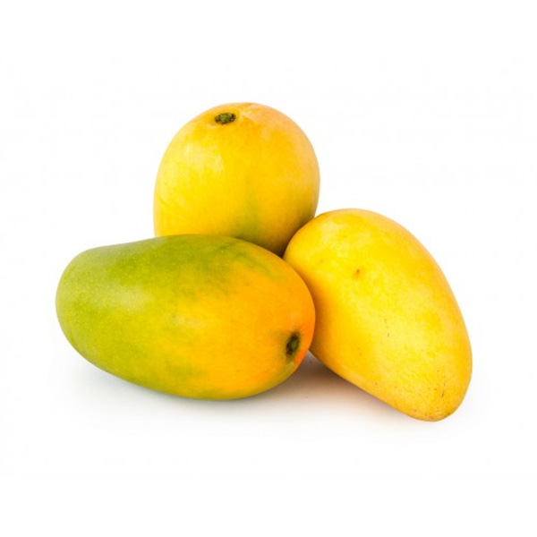 GI ZARDALU MANGO